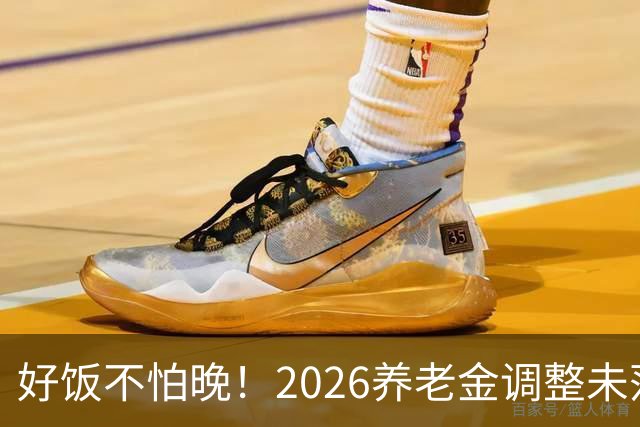好饭不怕晚！2026养老金调整未落地，政策定调方向明确